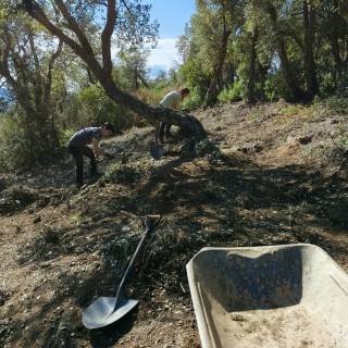 Comencen les excavacions al Puig del Castellar