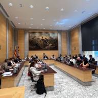 El Ple de la diputació aprova demanar una revisió del PLATER