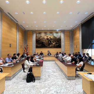 La Diputació de Girona reforça el suport a la prevenció d'incendis i la gestió forestal