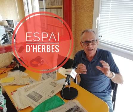 2025 06 06 06 06 2025 Propietats medicinals de les plantes